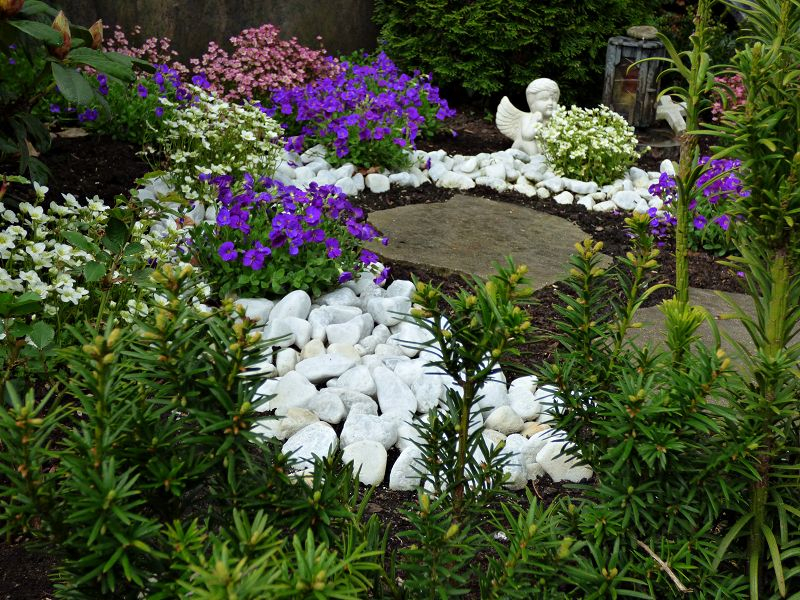 verschiedene Blumen auf Wiese