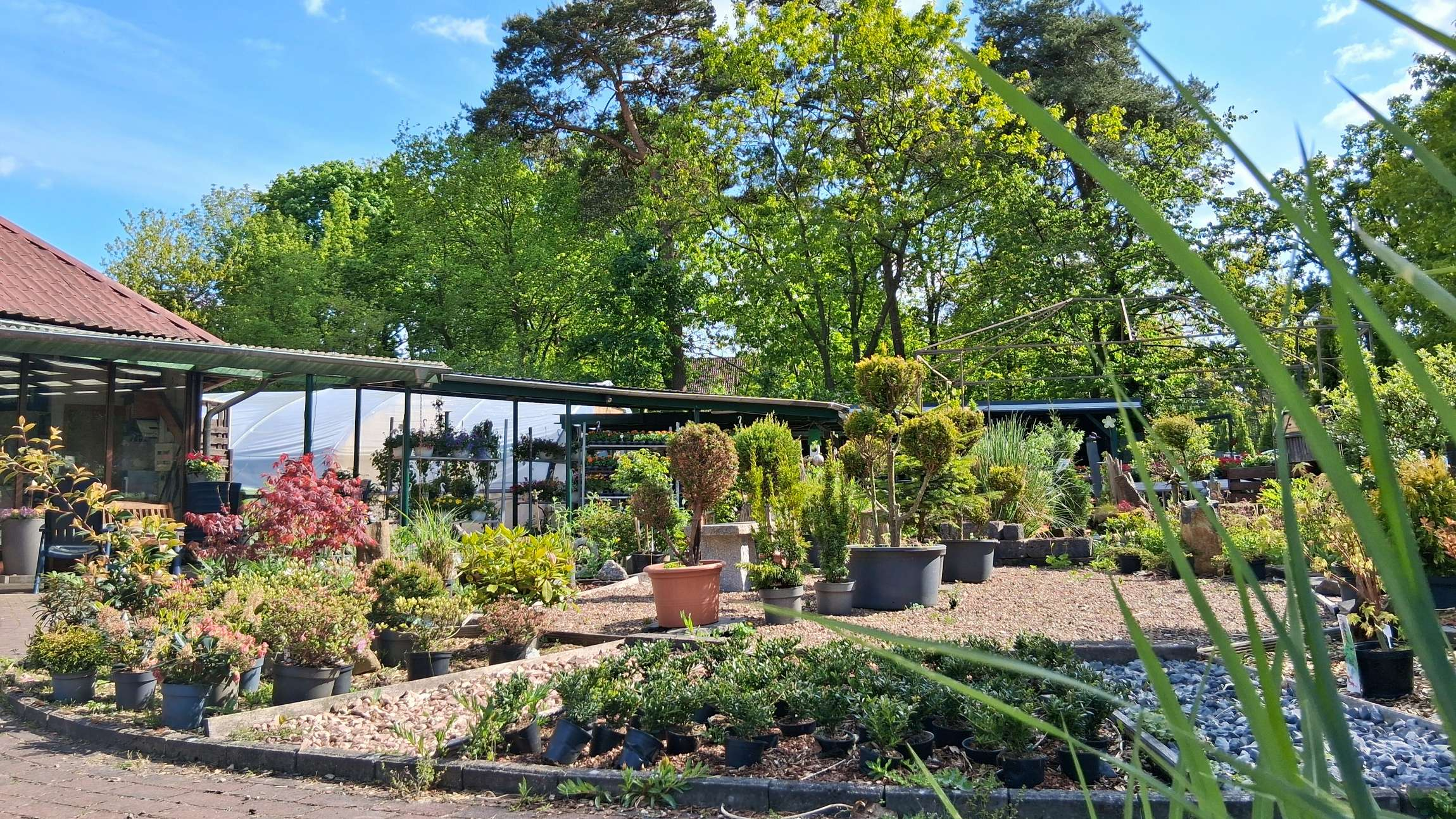 Blumen und Pflanzen vor der Gärtnerei