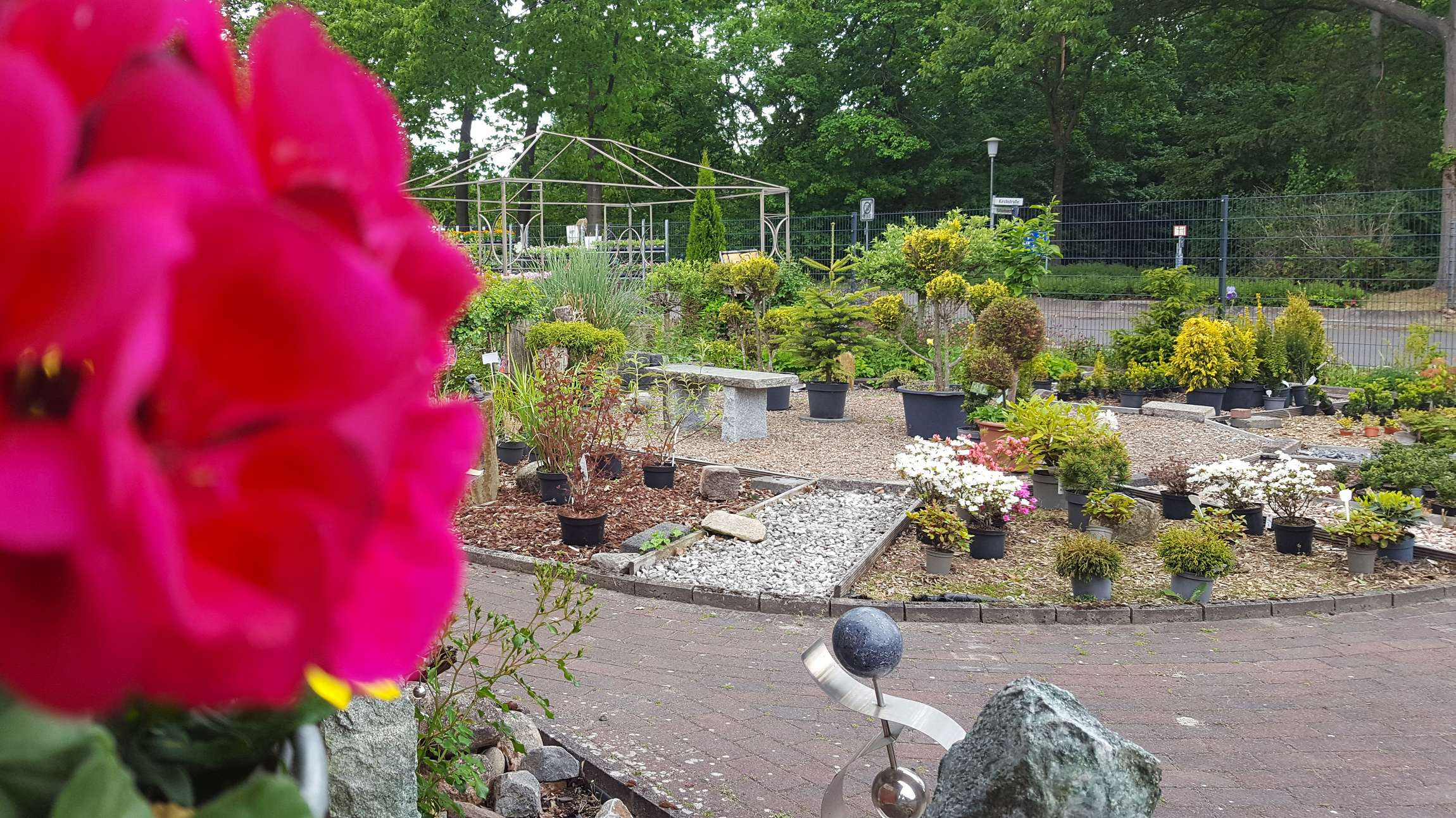 Pinke Blüte mit Außenbereich im Hintergrund